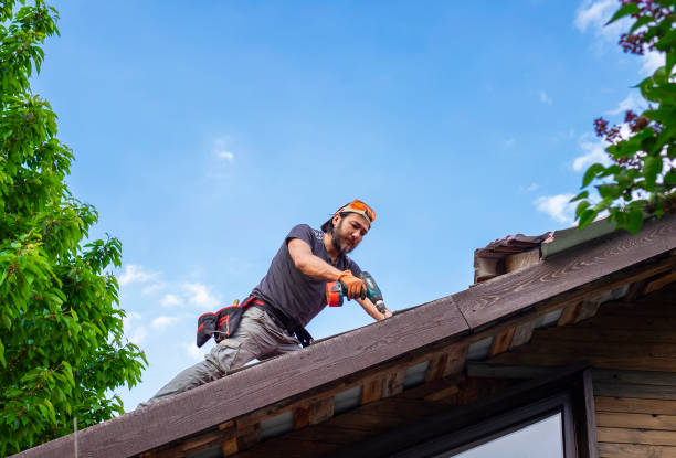 Best Roof Installation  in Fern Park, FL